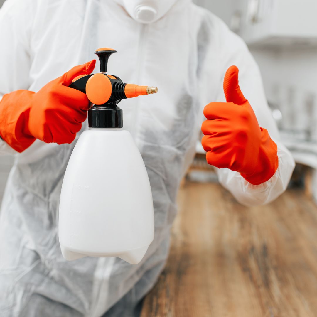 M17676 - Page Build - Ant Control